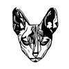 avatar-default-icon