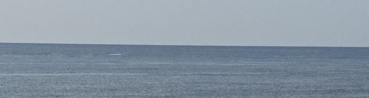 ������� �������� ��������� ���������