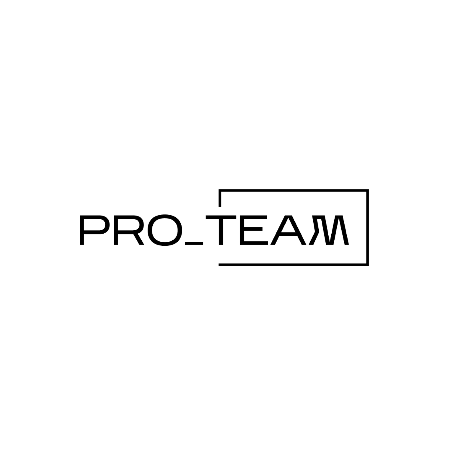Pro_Team