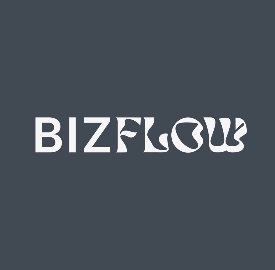   - - - BizFlow -  HRTIME 