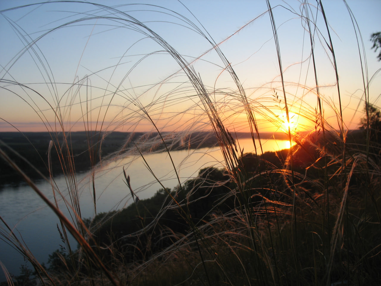 ������� �������� ������� ��������