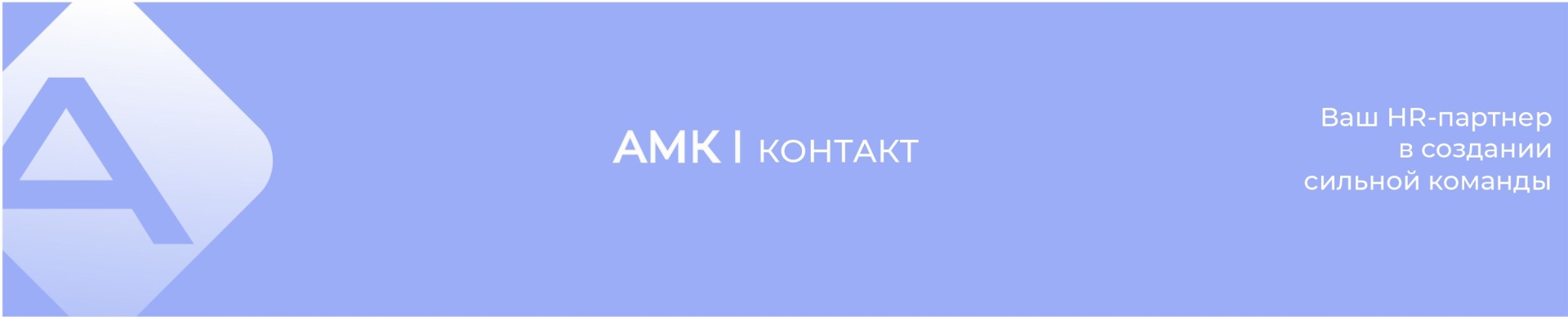 Профиль эксперта АМК Контакт 
