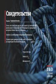 Евгения Чернякова Бизнес-квест «Олимп» — передача модели лидерства и развитие лидерства через практику