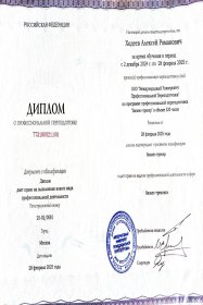 Ходеев Алексей Обучение созданию презентаций при помощи Искуственного Интеллекта