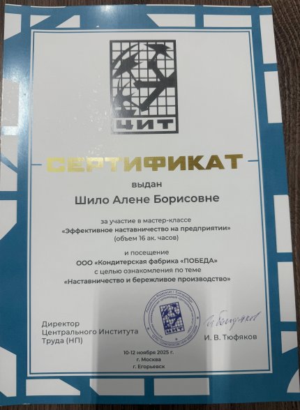 Шило Алена  дипломы и сертификаты эксперта id-13454
