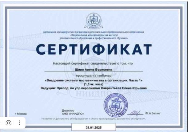 Шило Алена  дипломы и сертификаты эксперта id-13457