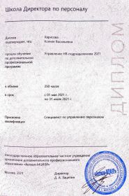   -   IT, digital, e-com / HR    .  