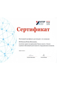 Юлия Весёлая Проведение деловых и бизнес-игр (деловые игры) 