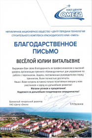 Юлия Весёлая Тренинг принятия оперативных решений в ситуации форс-мажора