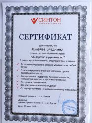 Владимир Шмелев Аудит и анализ бизнес-процессов - 2846