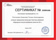    DISC  DRIVING FORCES (  )