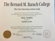   Career Accelerator  CV + LinkedIn +    (Zoom)