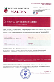 Ксения Дмитриева Оценка менеджеров по продажам: навыки, мотивация, тип личности и потенциал роста