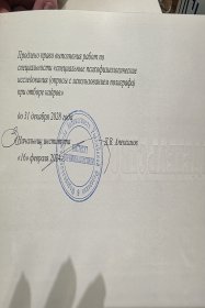 Волкова Елена  Ассессмент команды 