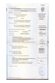 Ольга Ежова Тренинг по развитию мастеров и руководителей производства