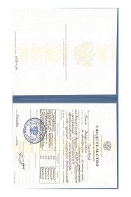 Ольга Ежова Управление результатами через команды. Пороки команды