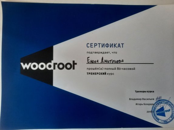 Елена Дмитриева дипломы и сертификаты эксперта id-13240