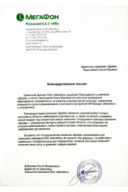 Ольга Леонтьева Разработка и проведение командообразующих программ (тимбилдингов) и деловых игр для бизнеса